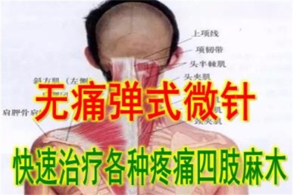 梁婆婆黑泥灸养生